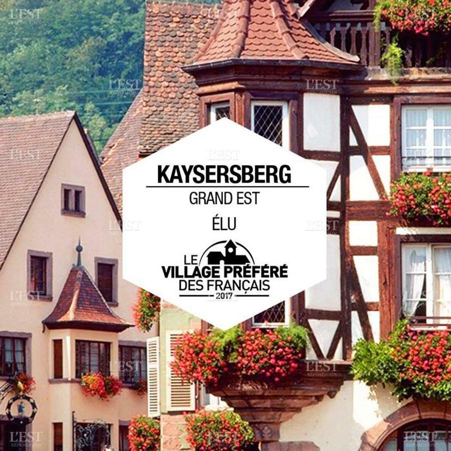 Venez loger chez l'habitant au centre de l'Alsace, à côté d'Europa Park ! Marckolsheim Exterior foto